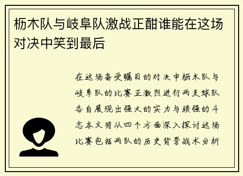 枥木队与岐阜队激战正酣谁能在这场对决中笑到最后