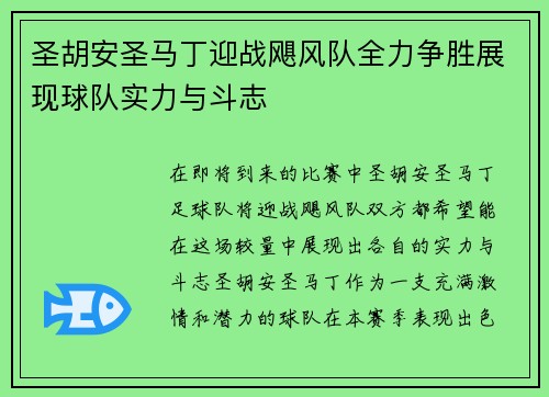圣胡安圣马丁迎战飓风队全力争胜展现球队实力与斗志