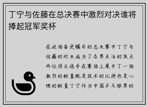 丁宁与佐藤在总决赛中激烈对决谁将捧起冠军奖杯